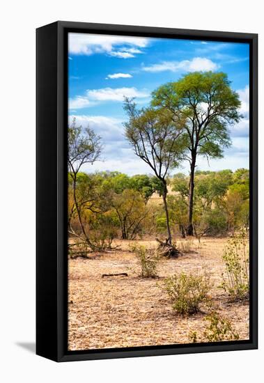 Awesome South Africa Collection - African Savanna Landscape II-Philippe Hugonnard-Framed Premier Image Canvas