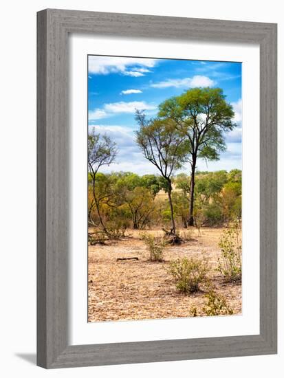 Awesome South Africa Collection - African Savanna Landscape II-Philippe Hugonnard-Framed Photographic Print