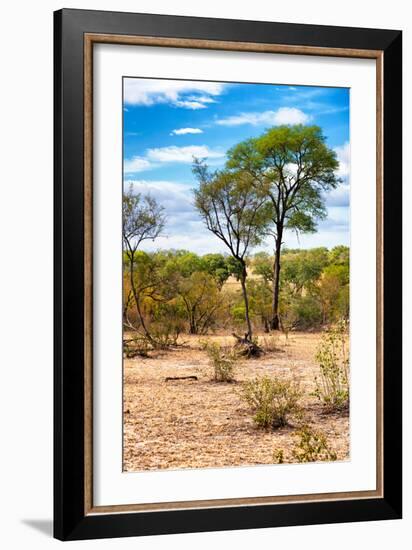 Awesome South Africa Collection - African Savanna Landscape II-Philippe Hugonnard-Framed Photographic Print