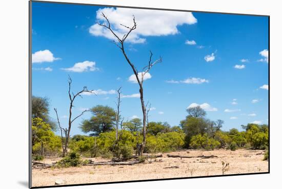 Awesome South Africa Collection - African Savanna Landscape IX-Philippe Hugonnard-Mounted Photographic Print