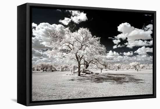 Awesome South Africa Collection - Another Look Savannah-Philippe Hugonnard-Framed Premier Image Canvas