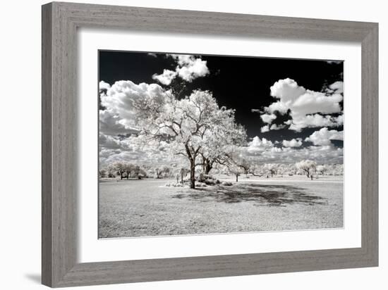 Awesome South Africa Collection - Another Look Savannah-Philippe Hugonnard-Framed Photographic Print