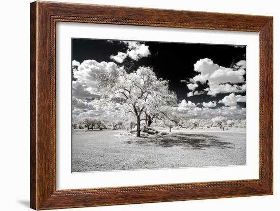 Awesome South Africa Collection - Another Look Savannah-Philippe Hugonnard-Framed Photographic Print