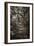 Awesome South Africa Collection B&W - African Forest I-Philippe Hugonnard-Framed Photographic Print