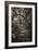 Awesome South Africa Collection B&W - African Forest I-Philippe Hugonnard-Framed Photographic Print