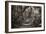 Awesome South Africa Collection B&W - African Forest III-Philippe Hugonnard-Framed Photographic Print