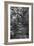 Awesome South Africa Collection B&W - African Forest-Philippe Hugonnard-Framed Photographic Print