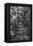 Awesome South Africa Collection B&W - African Forest-Philippe Hugonnard-Framed Premier Image Canvas