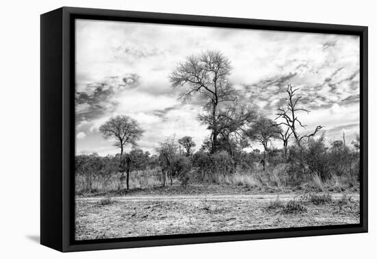 Awesome South Africa Collection B&W - African Landscape II-Philippe Hugonnard-Framed Premier Image Canvas