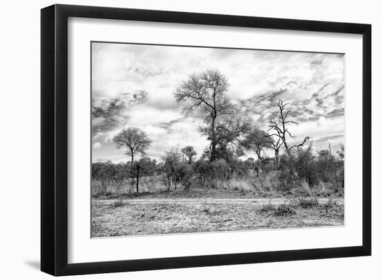 Awesome South Africa Collection B&W - African Landscape II-Philippe Hugonnard-Framed Photographic Print