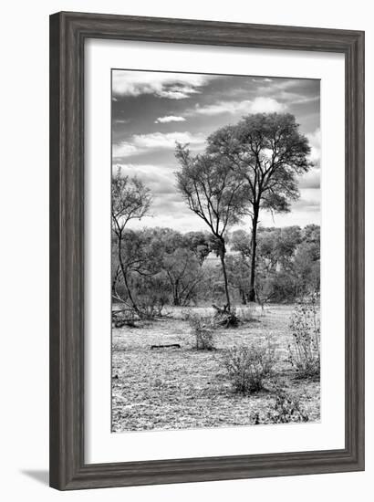 Awesome South Africa Collection B&W - African Landscape V-Philippe Hugonnard-Framed Photographic Print