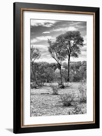 Awesome South Africa Collection B&W - African Landscape V-Philippe Hugonnard-Framed Photographic Print