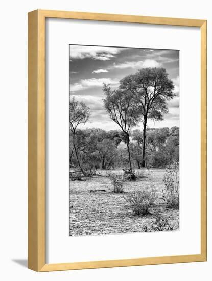 Awesome South Africa Collection B&W - African Landscape V-Philippe Hugonnard-Framed Photographic Print