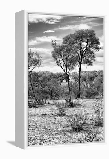 Awesome South Africa Collection B&W - African Landscape V-Philippe Hugonnard-Framed Premier Image Canvas