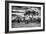 Awesome South Africa Collection B&W - African Landscape with Acacia Tree I-Philippe Hugonnard-Framed Photographic Print