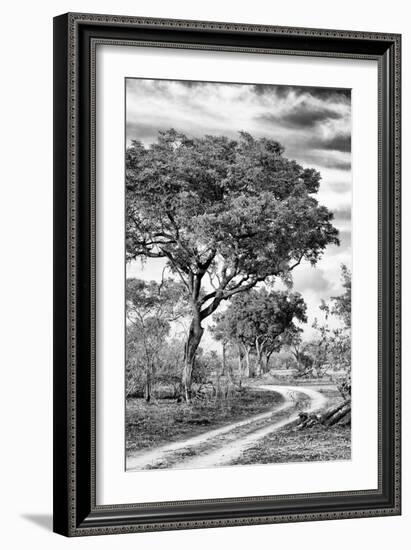 Awesome South Africa Collection B&W - African Landscape with Acacia Tree VIII-Philippe Hugonnard-Framed Photographic Print