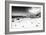 Awesome South Africa Collection B&W - African Penguins at Foxi Beach-Philippe Hugonnard-Framed Photographic Print