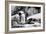 Awesome South Africa Collection B&W - African Penguins-Philippe Hugonnard-Framed Photographic Print