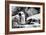 Awesome South Africa Collection B&W - African Penguins-Philippe Hugonnard-Framed Photographic Print