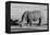 Awesome South Africa Collection B&W - Black Rhinoceros II-Philippe Hugonnard-Framed Premier Image Canvas