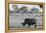 Awesome South Africa Collection B&W - Black Rhinoceros with Oxpecker-Philippe Hugonnard-Framed Premier Image Canvas