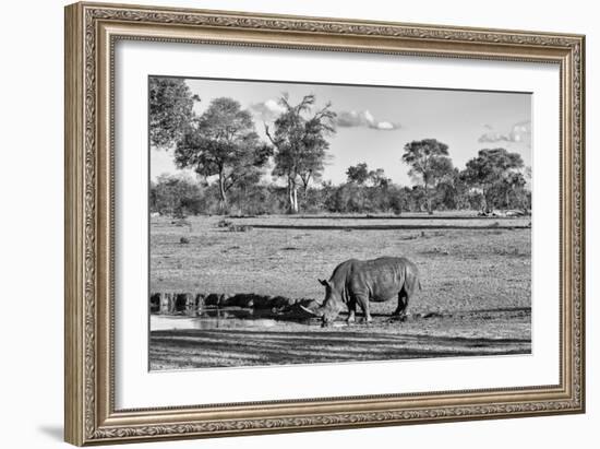 Awesome South Africa Collection B&W - Black Rhinoceros-Philippe Hugonnard-Framed Photographic Print