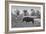 Awesome South Africa Collection B&W - Blue Wildebeest-Philippe Hugonnard-Framed Photographic Print