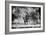 Awesome South Africa Collection B&W - Brown Hyena-Philippe Hugonnard-Framed Photographic Print