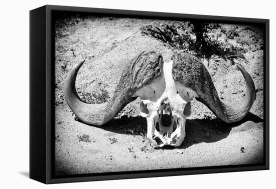 Awesome South Africa Collection B&W - Buffalo Skull in Savannah-Philippe Hugonnard-Framed Premier Image Canvas