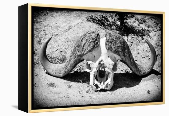 Awesome South Africa Collection B&W - Buffalo Skull in Savannah-Philippe Hugonnard-Framed Premier Image Canvas