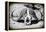 Awesome South Africa Collection B&W - Buffalo Skull in Savannah-Philippe Hugonnard-Framed Premier Image Canvas