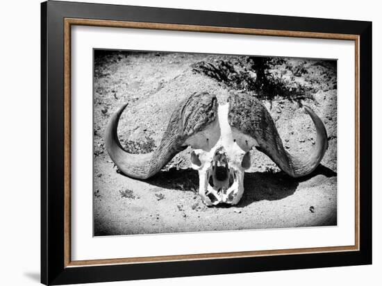 Awesome South Africa Collection B&W - Buffalo Skull in Savannah-Philippe Hugonnard-Framed Photographic Print