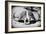 Awesome South Africa Collection B&W - Buffalo Skull in Savannah-Philippe Hugonnard-Framed Photographic Print