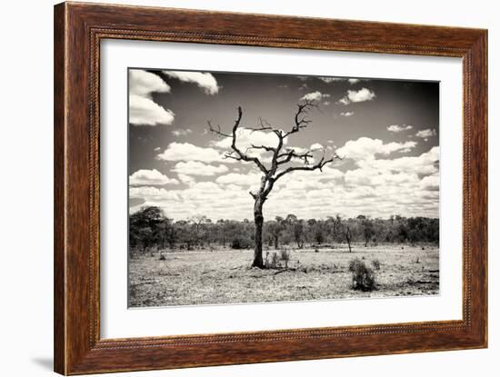 Awesome South Africa Collection B&W - Dead Tree in the African Savannah-Philippe Hugonnard-Framed Photographic Print