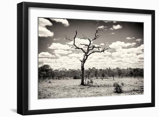 Awesome South Africa Collection B&W - Dead Tree in the African Savannah-Philippe Hugonnard-Framed Photographic Print