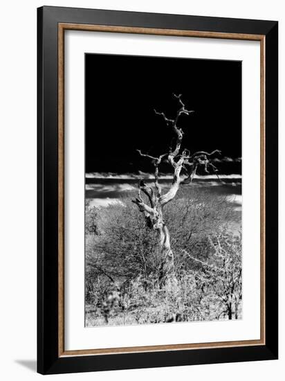 Awesome South Africa Collection B&W - Dead Tree-Philippe Hugonnard-Framed Photographic Print