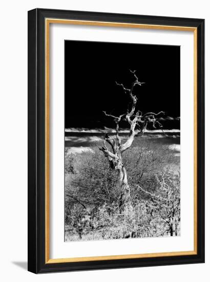 Awesome South Africa Collection B&W - Dead Tree-Philippe Hugonnard-Framed Photographic Print