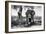 Awesome South Africa Collection B&W - Elephant I-Philippe Hugonnard-Framed Photographic Print