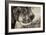 Awesome South Africa Collection B&W - Elephant Portrait II-Philippe Hugonnard-Framed Photographic Print