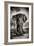 Awesome South Africa Collection B&W - Elephant Portrait IV-Philippe Hugonnard-Framed Photographic Print