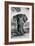 Awesome South Africa Collection B&W - Elephant Portrait V-Philippe Hugonnard-Framed Photographic Print