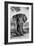 Awesome South Africa Collection B&W - Elephant Portrait V-Philippe Hugonnard-Framed Photographic Print