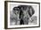 Awesome South Africa Collection B&W - Elephant Portrait VII-Philippe Hugonnard-Framed Photographic Print