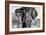 Awesome South Africa Collection B&W - Elephant Portrait VII-Philippe Hugonnard-Framed Photographic Print