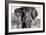 Awesome South Africa Collection B&W - Elephant Portrait VII-Philippe Hugonnard-Framed Photographic Print