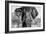 Awesome South Africa Collection B&W - Elephant Portrait VII-Philippe Hugonnard-Framed Photographic Print