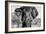 Awesome South Africa Collection B&W - Elephant Portrait VII-Philippe Hugonnard-Framed Photographic Print