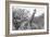 Awesome South Africa Collection B&W - Giraffe Mother and Young IV-Philippe Hugonnard-Framed Photographic Print