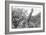 Awesome South Africa Collection B&W - Giraffe Mother and Young IV-Philippe Hugonnard-Framed Photographic Print