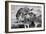 Awesome South Africa Collection B&W - Group of Common Zebras-Philippe Hugonnard-Framed Photographic Print